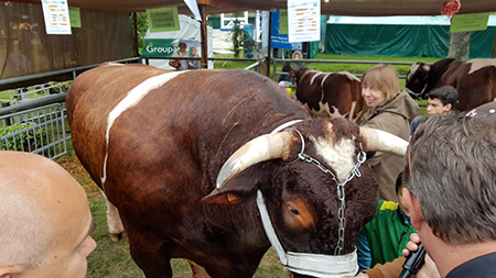 Comice Agricole Coeur de Sologne