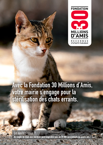 Stérilisation des chats