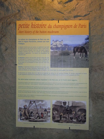 SAUMUR  96