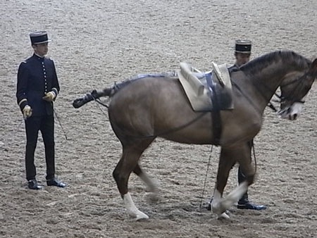 SAUMUR 14