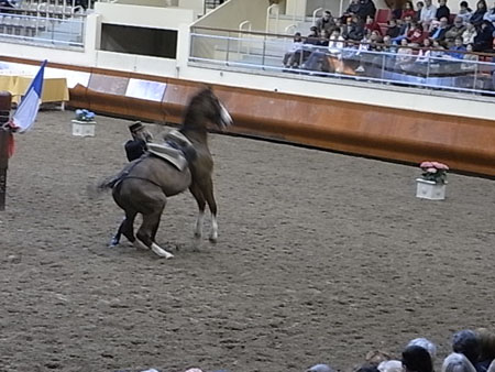 SAUMUR 16