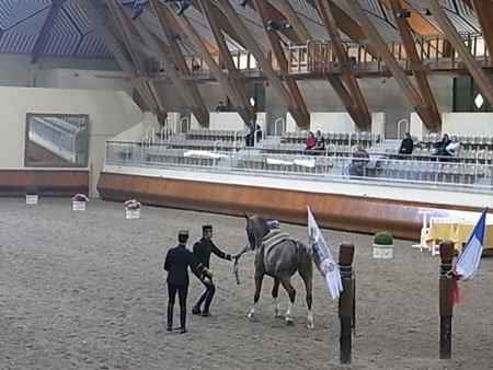 SAUMUR 17