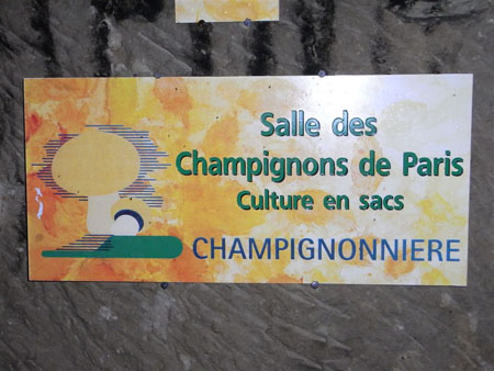 SAUMUR 1O4