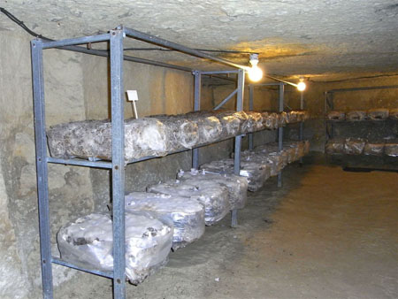 SAUMUR 1O7