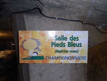 SAUMUR 1O8