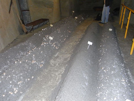 SAUMUR 99