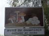 SAUMUR 93
